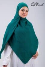 Malaysian  Veil Sponge - Image 6