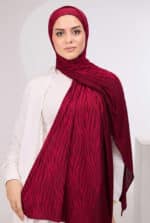 ⁦جاكار مع بندانة " زيبرا "⁩ - الصورة ⁦8⁩